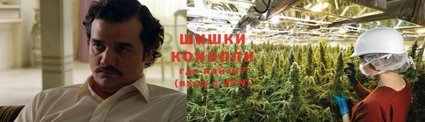 PSILOCYBIN Волосово