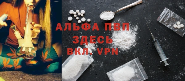 PSILOCYBIN Волосово
