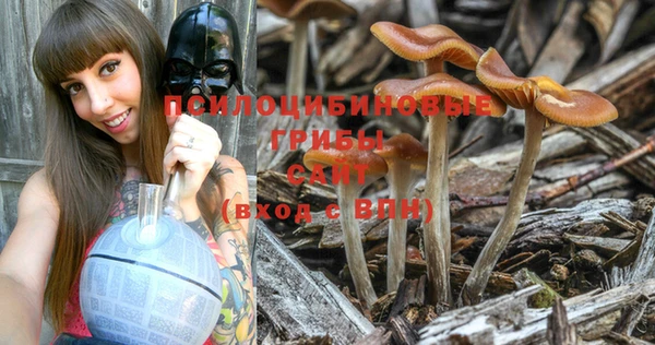 PSILOCYBIN Волосово