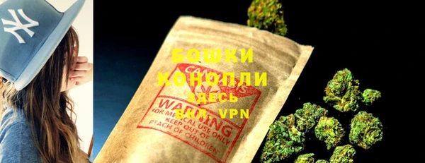 PSILOCYBIN Волосово