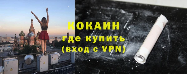 PSILOCYBIN Волосово