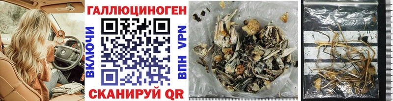 Купить  Верхняя Тура  Псилоцибиновые грибы GOLDEN TEACHER 